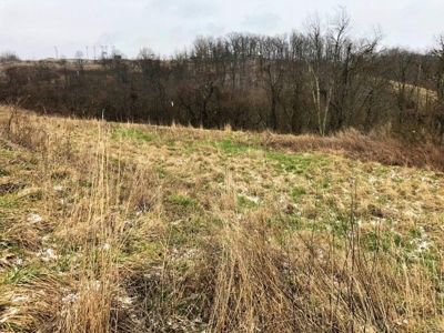 Ohio Hunting Land in Belmont County - image 6