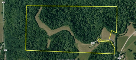 Ohio Hunting Land in Belmont County - image 48