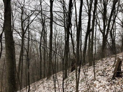 Ohio Hunting Land in Belmont County - image 37