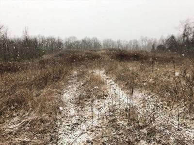 Ohio Hunting Land in Belmont County - image 33