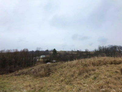 Ohio Hunting Land in Belmont County - image 5