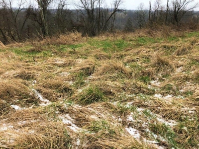 Ohio Hunting Land in Belmont County - image 15