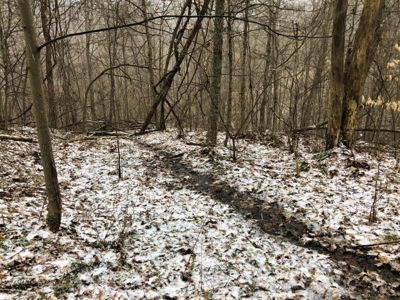 Ohio Hunting Land in Belmont County - image 39