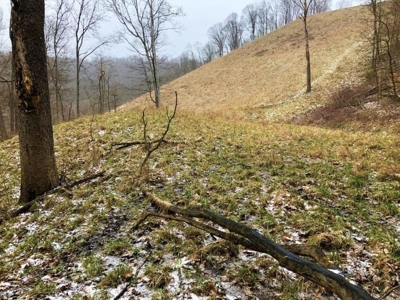 Ohio Hunting Land in Belmont County - image 40