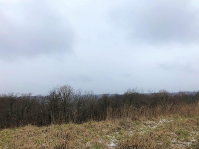 Ohio Hunting Land in Belmont County - image 4