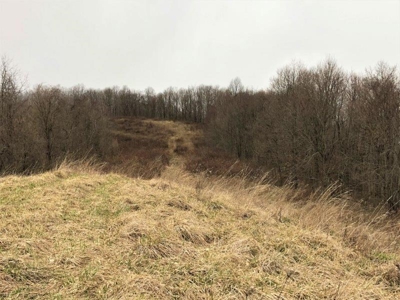 Ohio Hunting Land in Belmont County - image 24