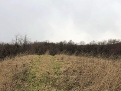 Ohio Hunting Land in Belmont County - image 22