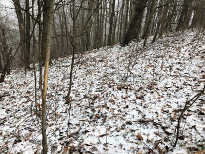 Ohio Hunting Land in Belmont County - image 35