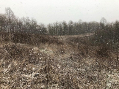 Ohio Hunting Land in Belmont County - image 31