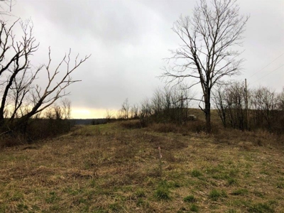 Ohio Hunting Land in Belmont County - image 17