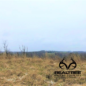 Ohio Hunting Land in Belmont County - image 1