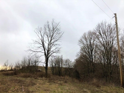 Ohio Hunting Land in Belmont County - image 8