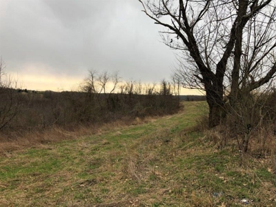 Ohio Hunting Land in Belmont County - image 18