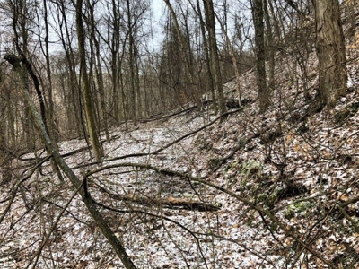 Ohio Hunting Land in Belmont County - image 38