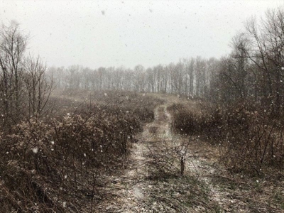 Ohio Hunting Land in Belmont County - image 25