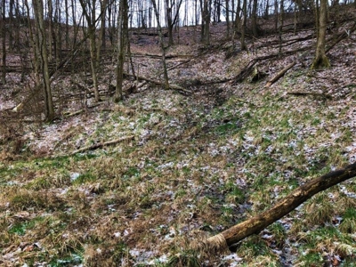 Ohio Hunting Land in Belmont County - image 41