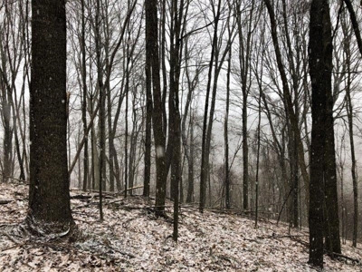 Ohio Hunting Land in Belmont County - image 27