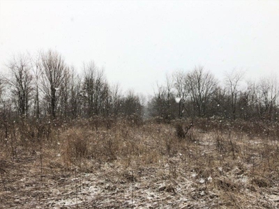Ohio Hunting Land in Belmont County - image 32