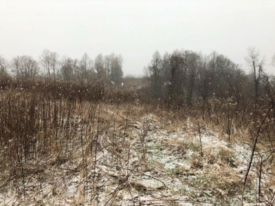Ohio Hunting Land in Belmont County - image 34