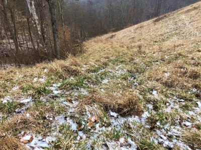 Ohio Hunting Land in Belmont County - image 43