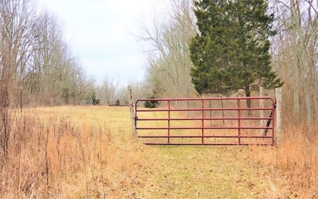 Log Home  with acreage located in Southern Brown County Ohio - image 35