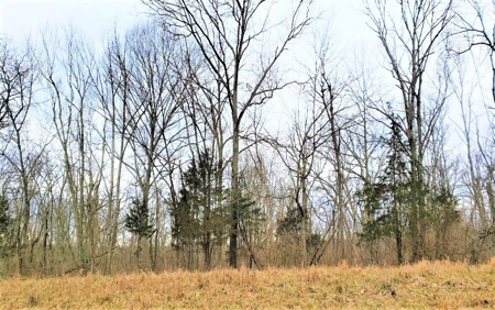 Log Home  with acreage located in Southern Brown County Ohio - image 33