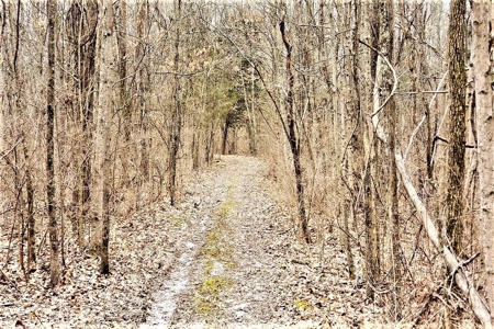 Log Home  with acreage located in Southern Brown County Ohio - image 38