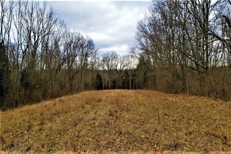 Log Home  with acreage located in Southern Brown County Ohio - image 32