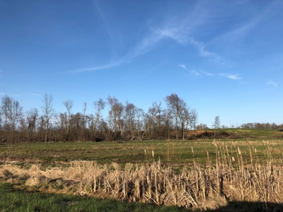 21 Acre Hobby Farm with remodeled home - image 2