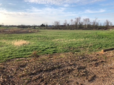 21 Acre Hobby Farm with remodeled home - image 7