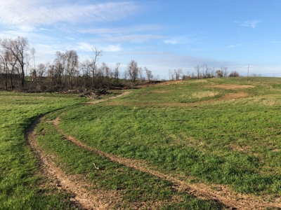 21 Acre Hobby Farm with remodeled home - image 3