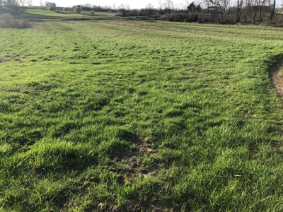 21 Acre Hobby Farm with remodeled home - image 4