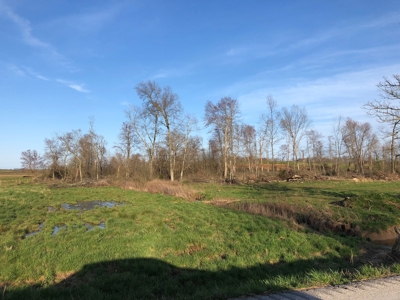 21 Acre Hobby Farm with remodeled home - image 1