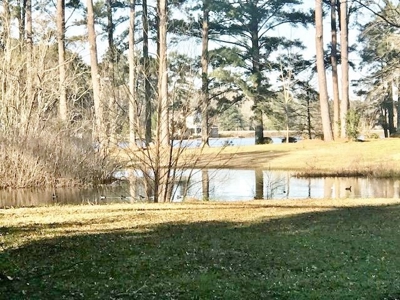 Remodeled 2 story Lakeside Colonial Home for Sale McComb MS - image 32