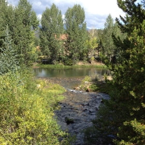 Lowest priced single family home in Breckenridge - image 22