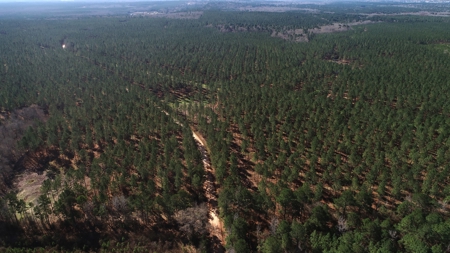 Frazier Creek Hunt Club – East TX Sportsman's Paradise - image 27