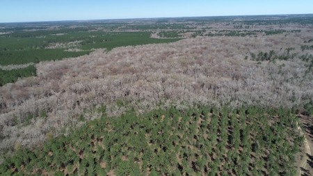 Frazier Creek Hunt Club – East TX Sportsman's Paradise - image 30