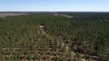 Frazier Creek Hunt Club – East TX Sportsman's Paradise - image 35