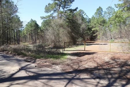 Frazier Creek Hunt Club – East TX Sportsman's Paradise - image 26