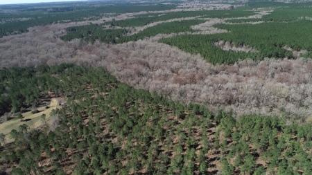 Frazier Creek Hunt Club – East TX Sportsman's Paradise - image 29
