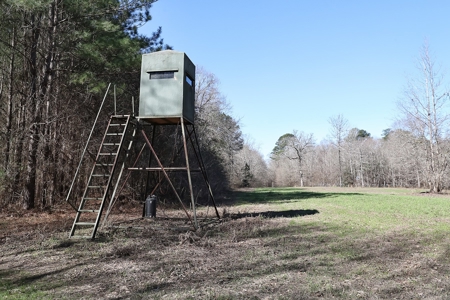 Frazier Creek Hunt Club – East TX Sportsman's Paradise - image 10