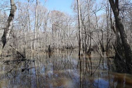 Frazier Creek Hunt Club – East TX Sportsman's Paradise - image 13