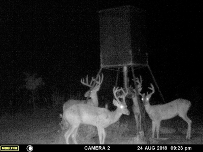 Frazier Creek Hunt Club – East TX Sportsman's Paradise - image 8
