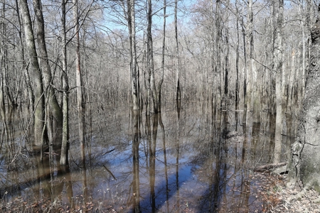 Frazier Creek Hunt Club – East TX Sportsman's Paradise - image 24