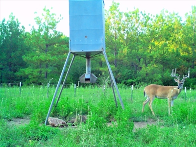Frazier Creek Hunt Club – East TX Sportsman's Paradise - image 7