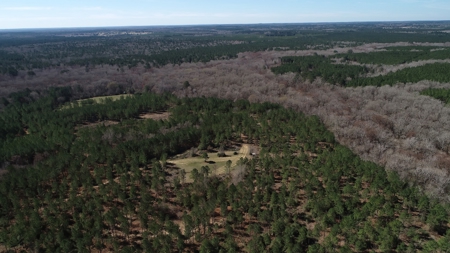 Frazier Creek Hunt Club – East TX Sportsman's Paradise - image 32