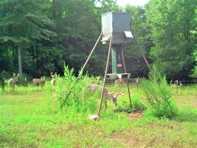 Frazier Creek Hunt Club – East TX Sportsman's Paradise - image 5