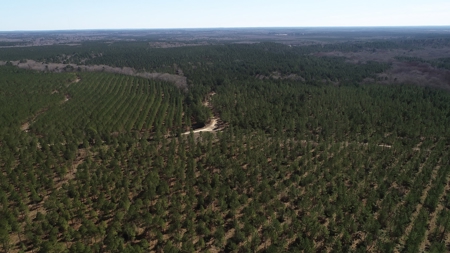 Frazier Creek Hunt Club – East TX Sportsman's Paradise - image 31