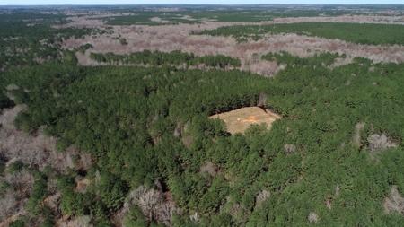 Frazier Creek Hunt Club – East TX Sportsman's Paradise - image 37
