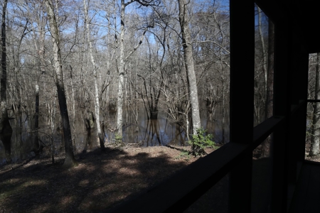 Frazier Creek Hunt Club – East TX Sportsman's Paradise - image 14